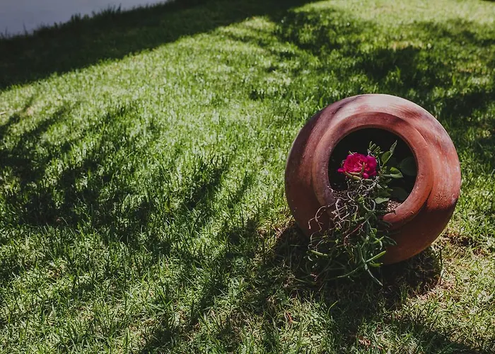 Alkisti Ларнака