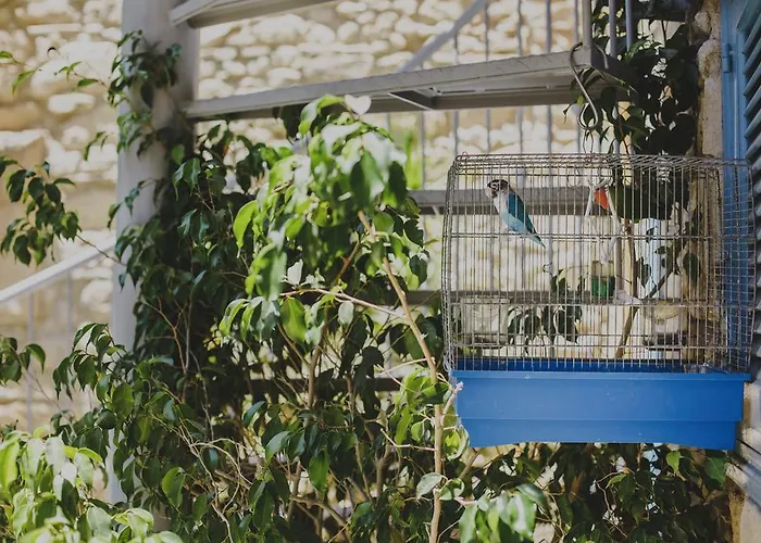 Готель Alkisti 3*