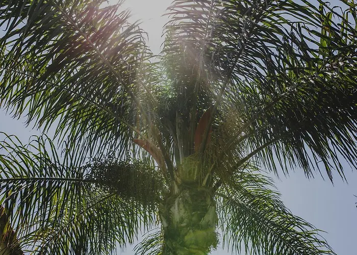 Alkisti Готель