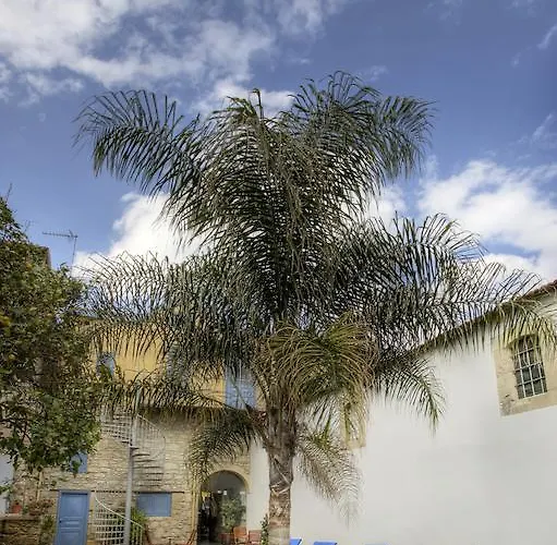 Alkisti Ларнака