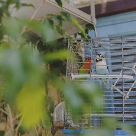 Szálloda Alkisti 3*