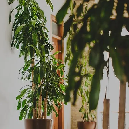 Alkisti Szálloda Lárnaka