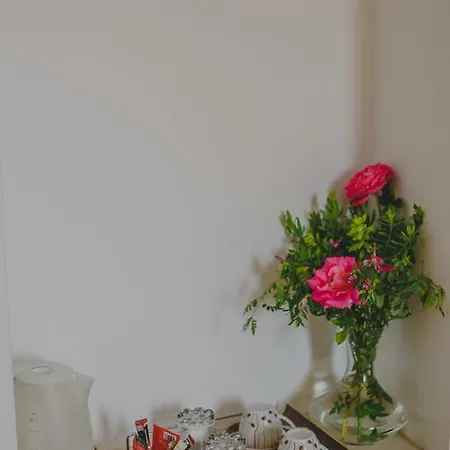 المدينة ألكيستي فندق 3*