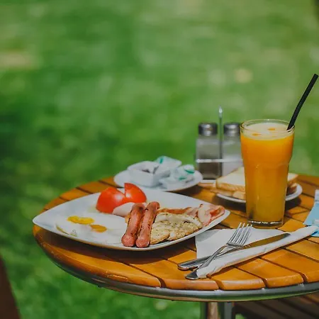 المدينة ألكيستي 3*